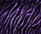 Purple-Black Poly Stretch Spandex Zebra Printed Velvet Knit Fabric By the Yard